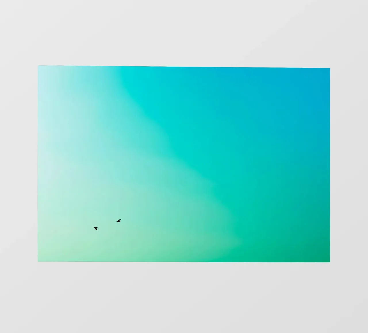 Su e giù pellicola backlit da Tal Paz-Fridman