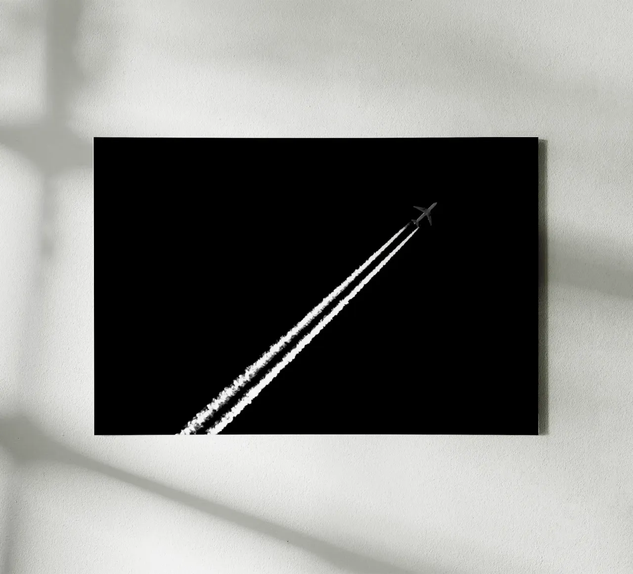 Bianco e nero tela da Tal Paz-Fridman
