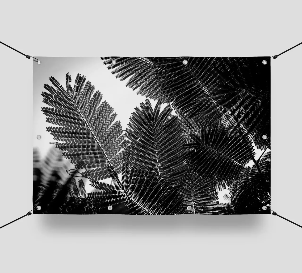 Geometrie naturali I telo in pvc da Tal Paz-Fridman