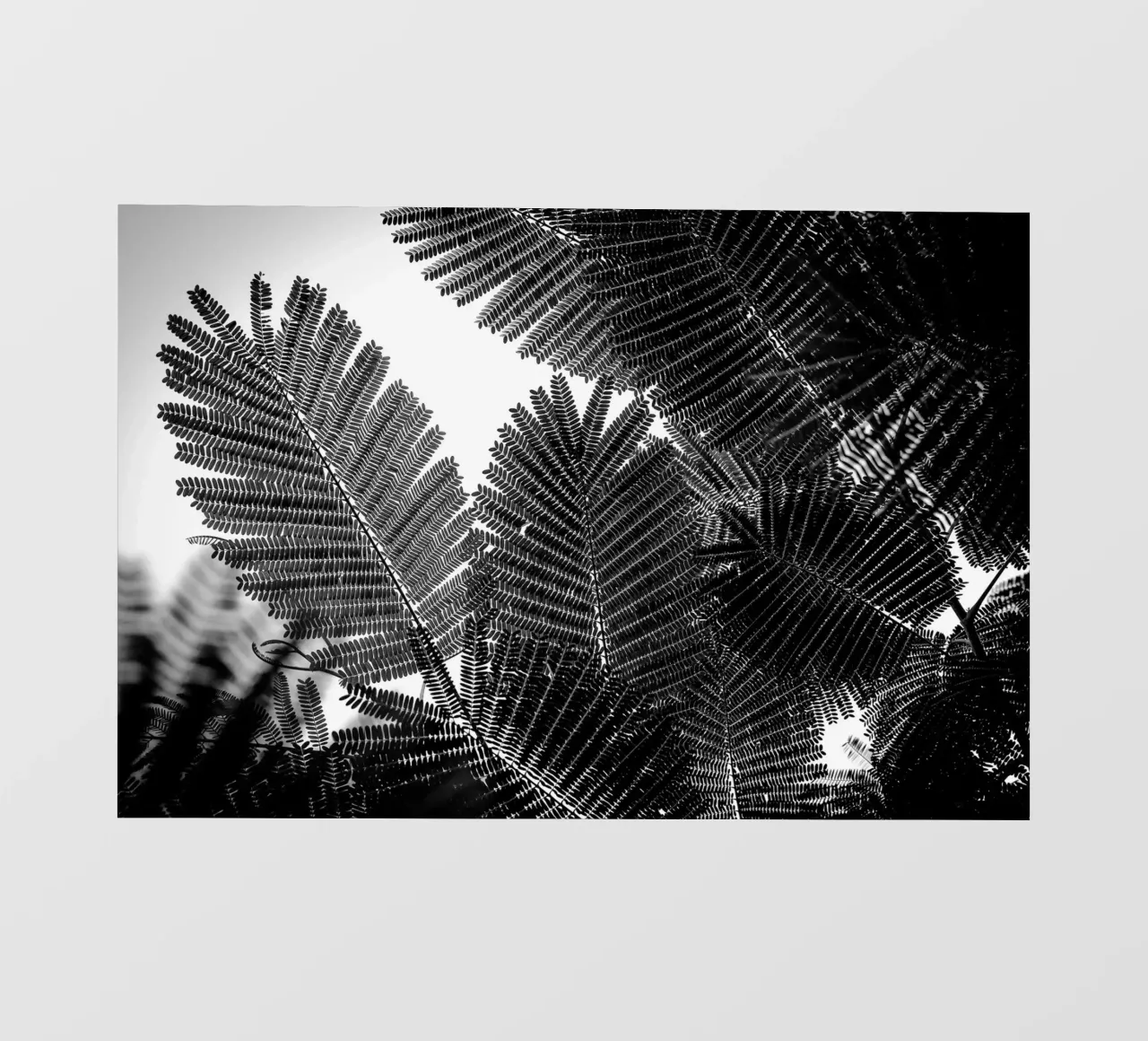 Geometrie naturali I telo in pvc da Tal Paz-Fridman