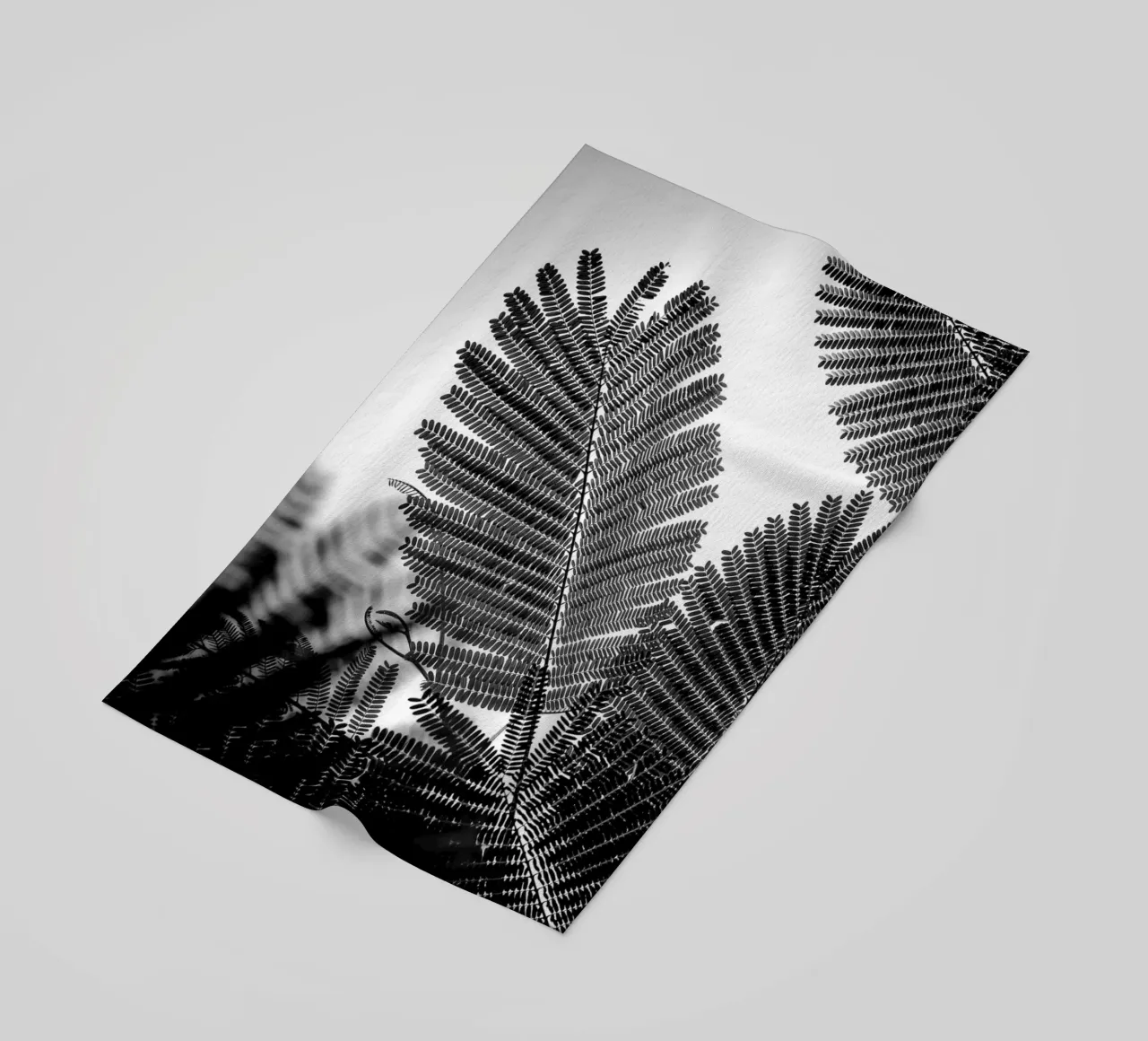 Geometrie naturali I telo mare da Tal Paz-Fridman