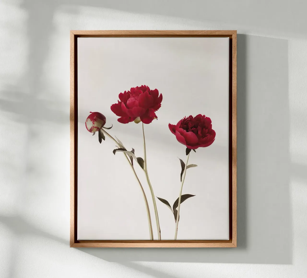Pioenstudie I canvas met Baklijst van A.Lens