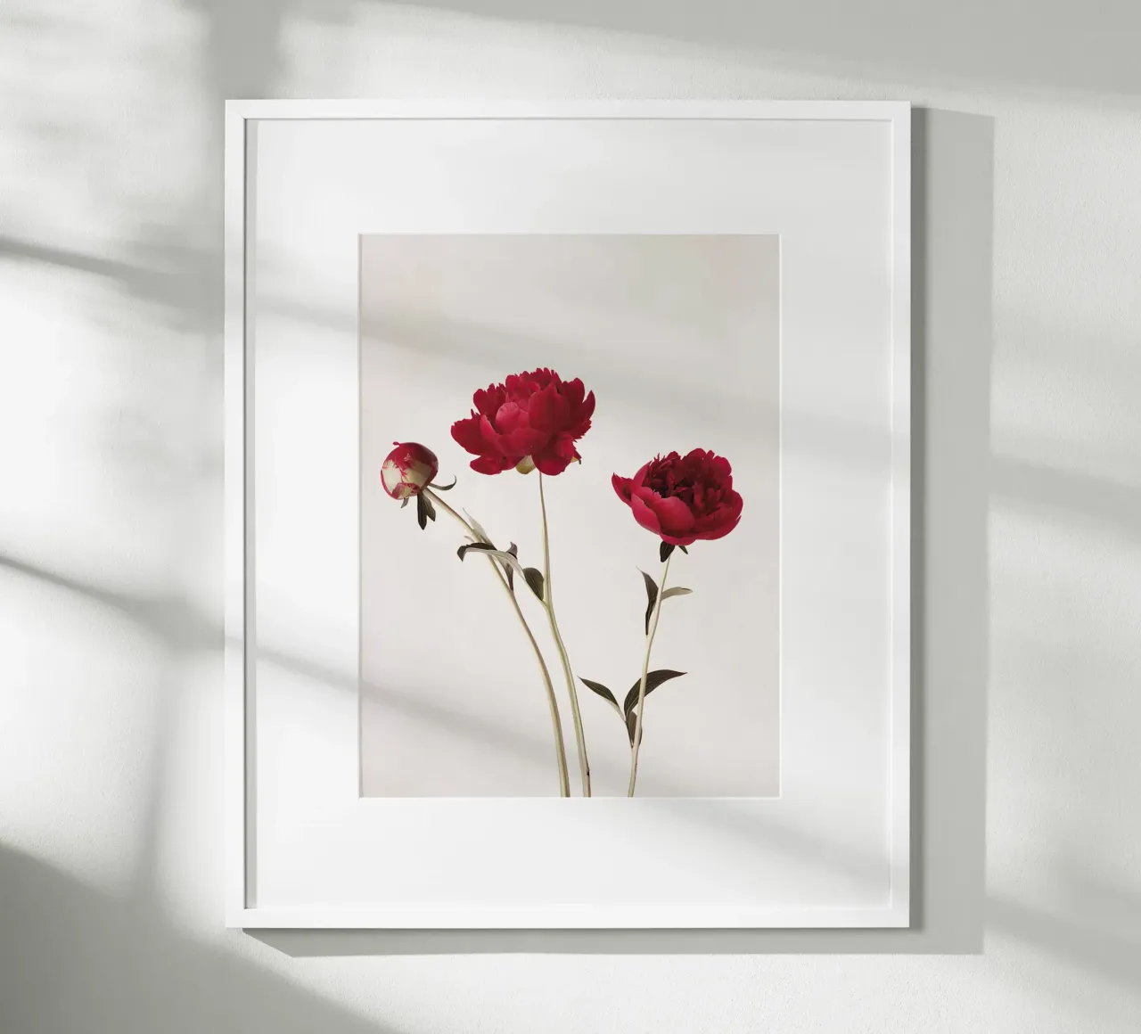 Studio della peonia I poster con telaio in legno da A.Lens