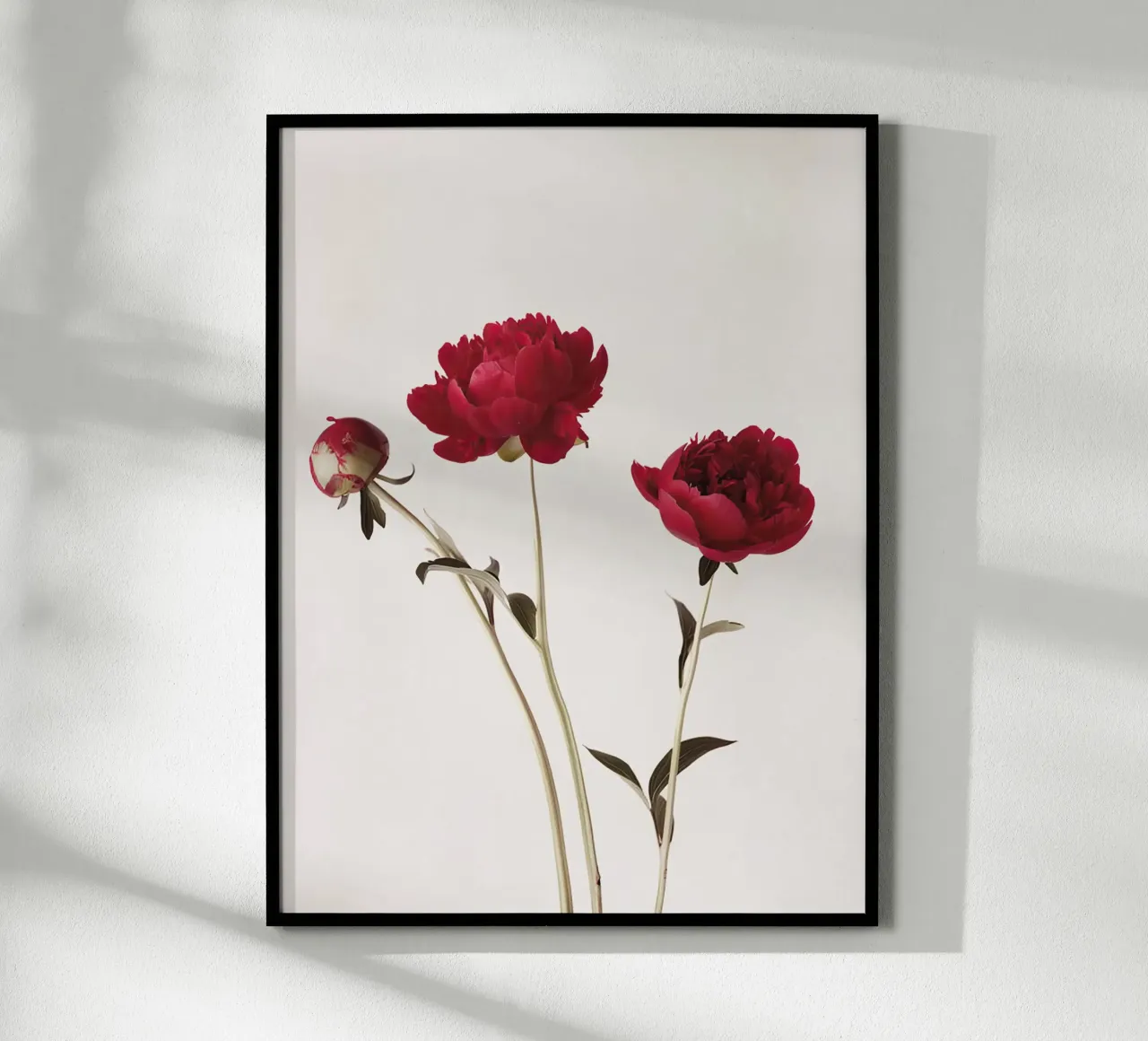 Studio della peonia I poster con telaio in legno da A.Lens