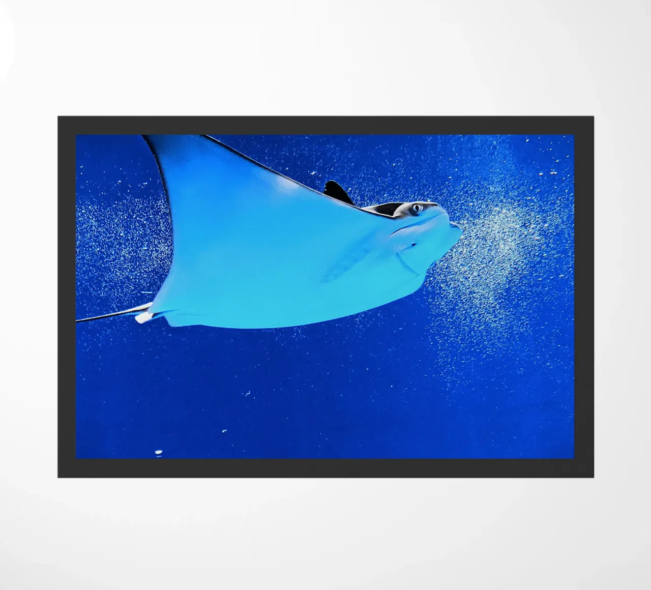 Mantarraya Serenity felpudo de Nature's Palette