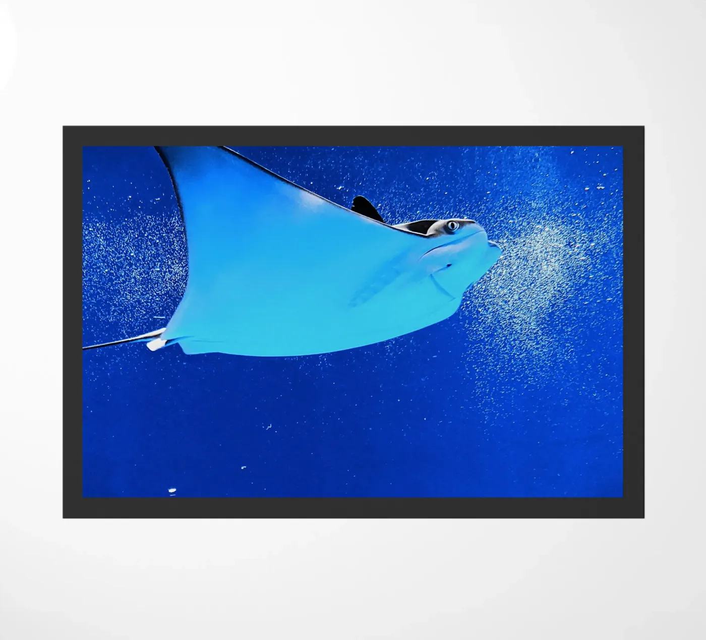 Stingray Serenity doormat by Nature's Palette