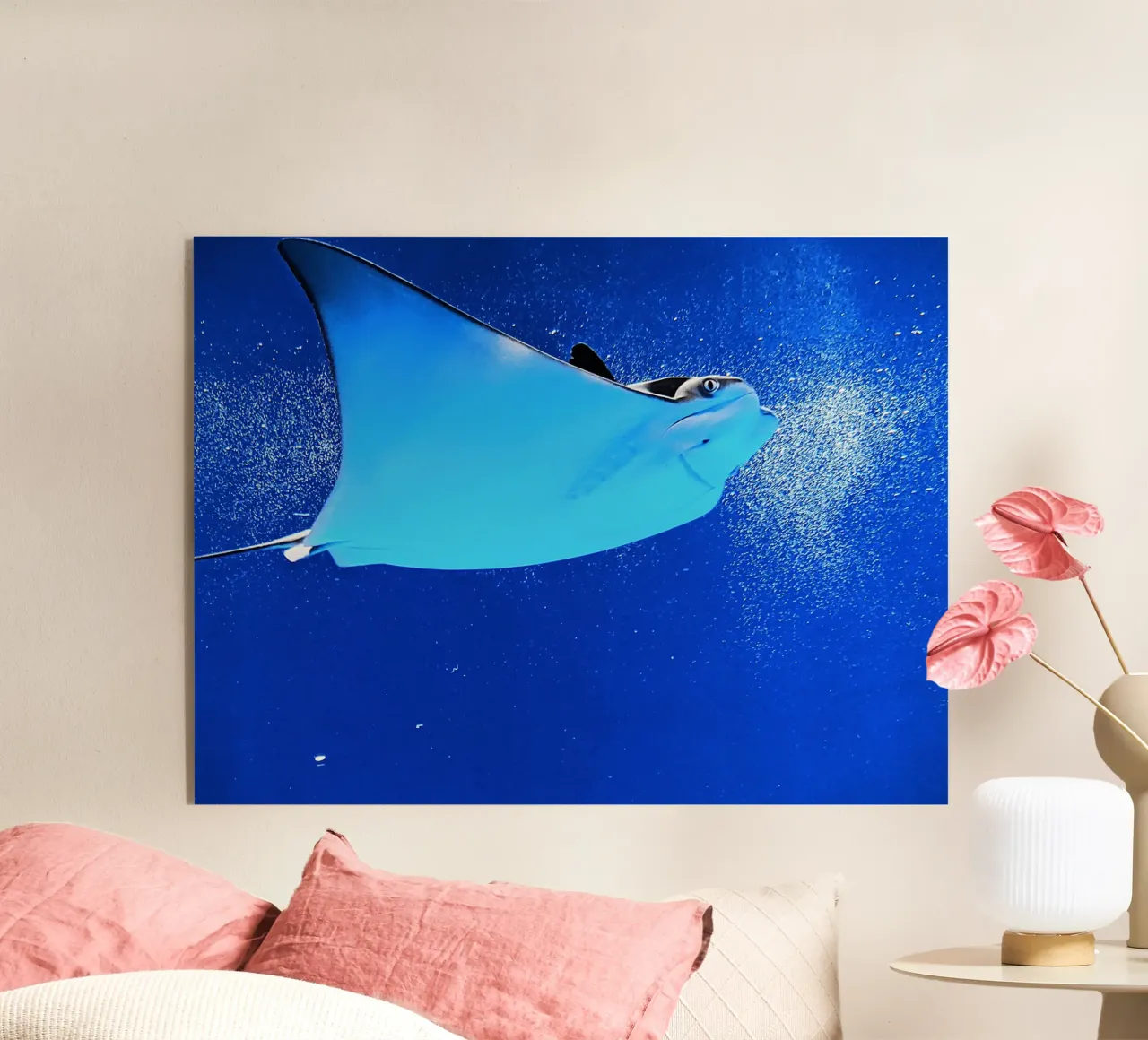 Razze Serenity plexiglass da Nature's Palette