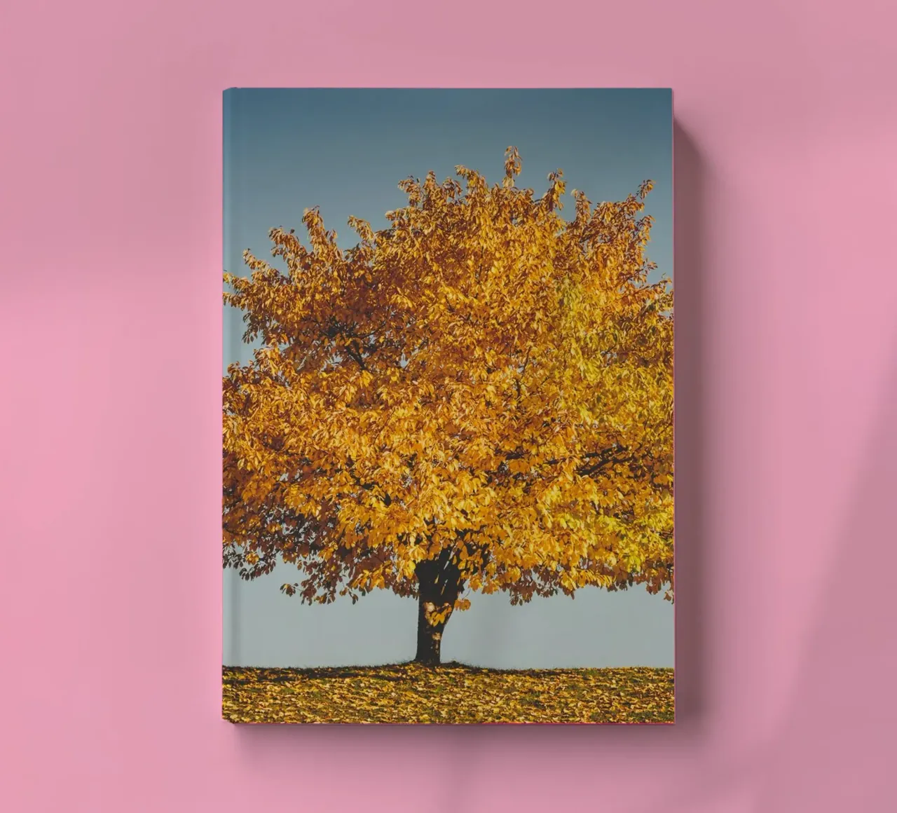 Golden autumn - The tree and the bench notebook by Natur Wandbild — Orte für die Seele