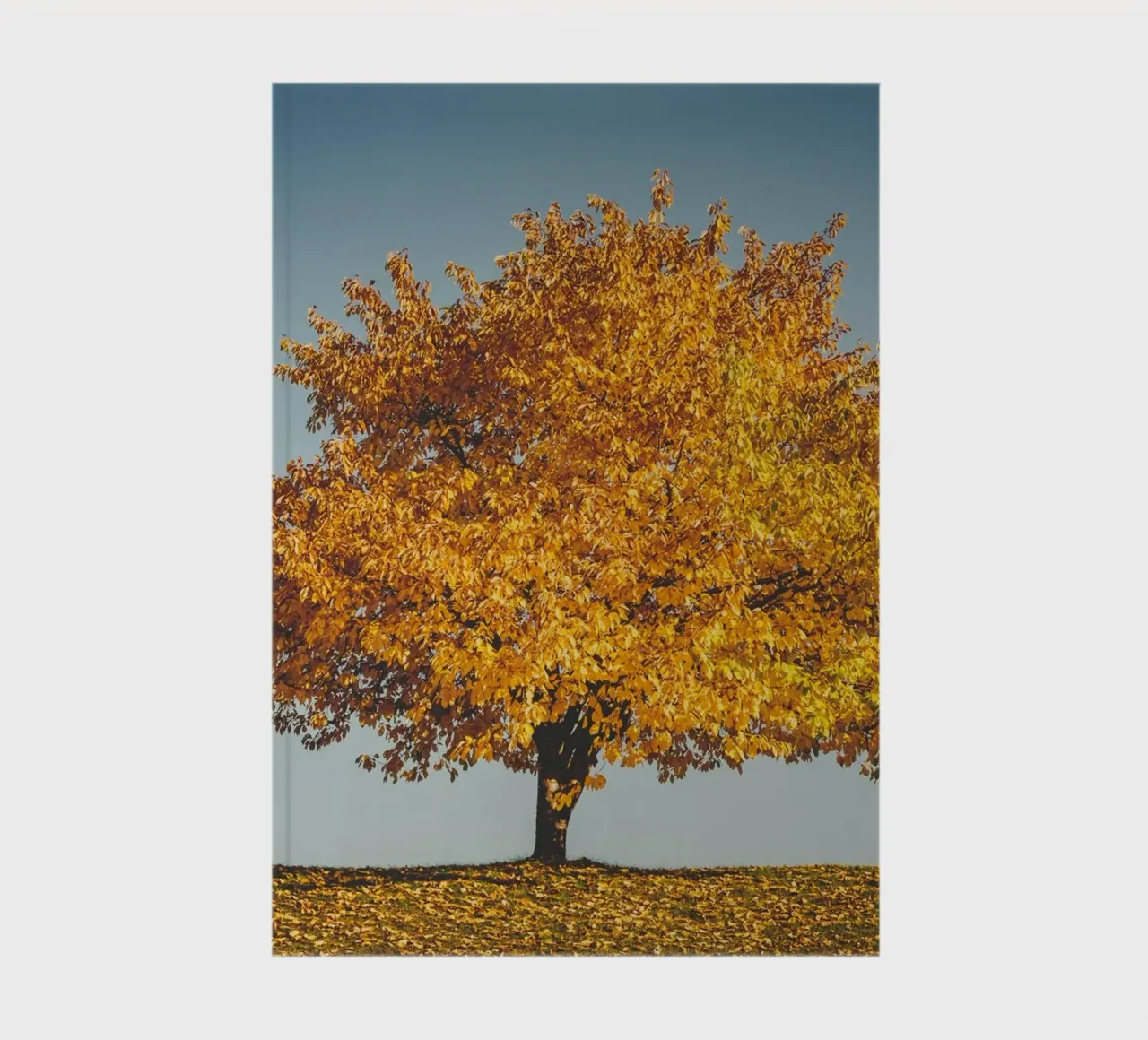 Golden autumn - The tree and the bench notebook by Natur Wandbild — Orte für die Seele