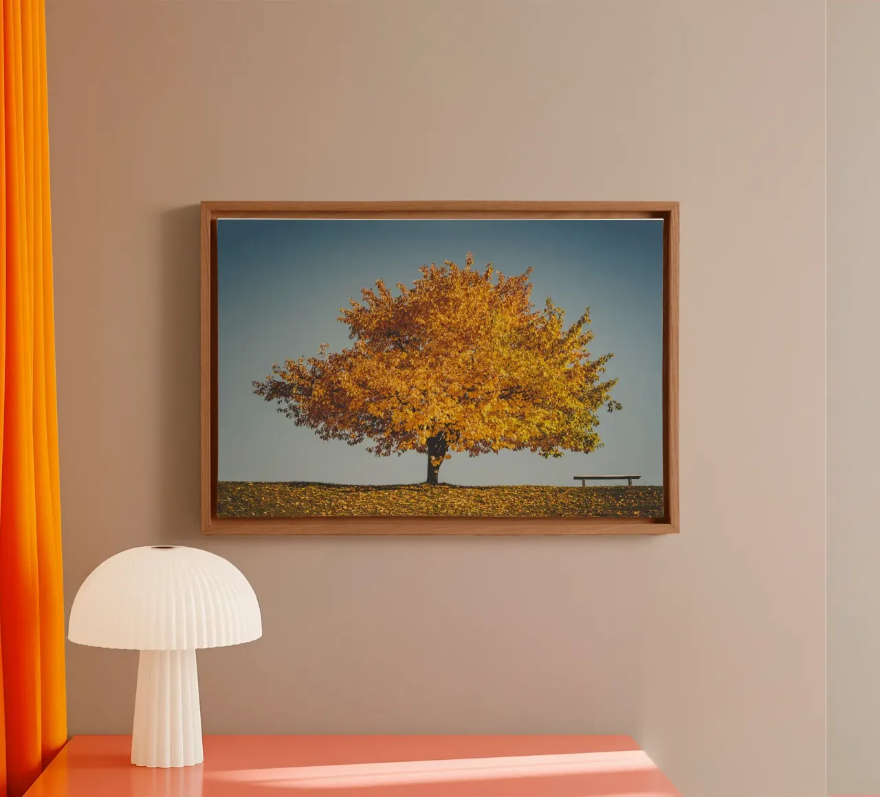 Golden autumn - The tree and the bench canvas with Floater frame by Natur Wandbild — Orte für die Seele