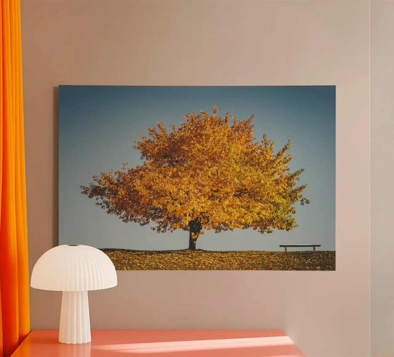 Golden autumn - The tree and the bench canvas with Floater frame by Natur Wandbild — Orte für die Seele