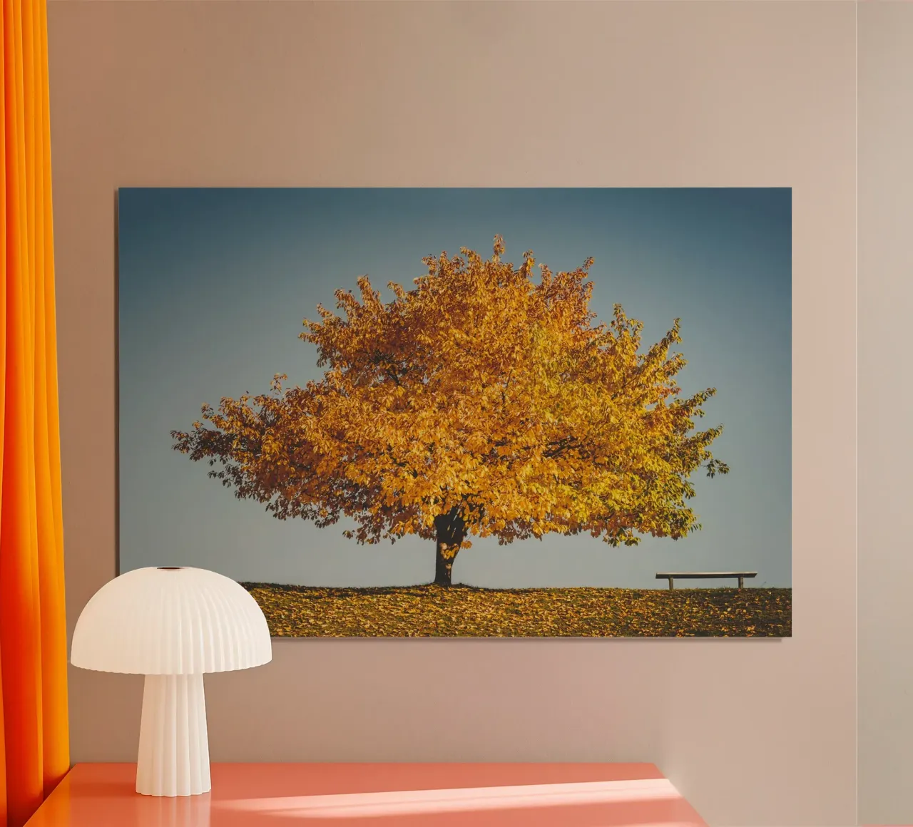 Autunno dorato - L'albero e la panchina poster con telaio in alluminio da Natur Wandbild — Orte für die Seele