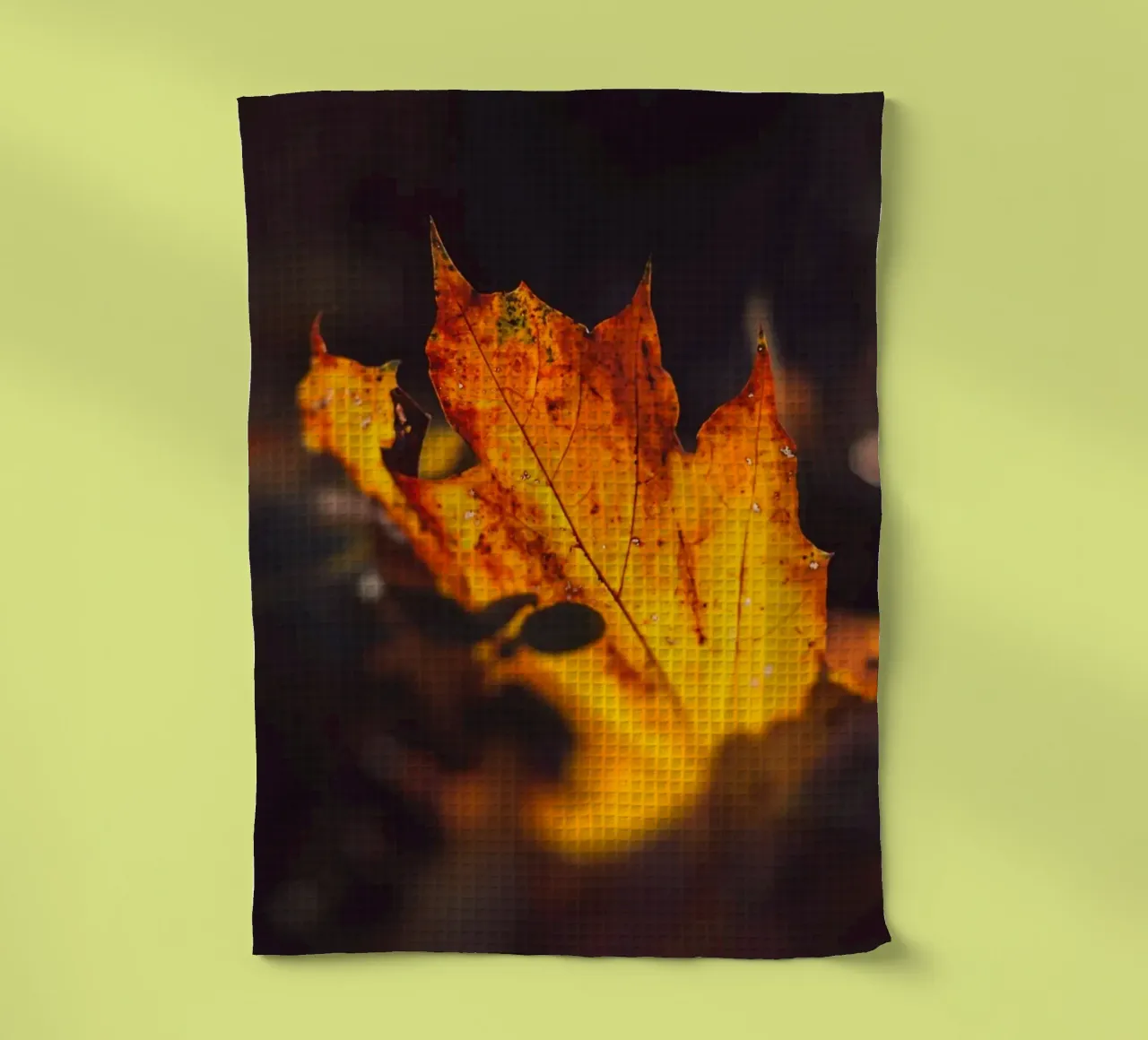 Un automne doré - des feuilles lumineuses au bord des routes torchon de Natur Wandbild — Orte für die Seele