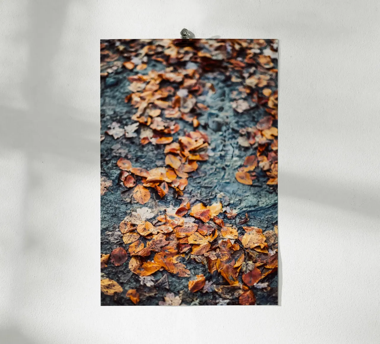 Autunno dorato - foglie sul suolo della foresta poster con telaio in legno da Natur Wandbild — Orte für die Seele
