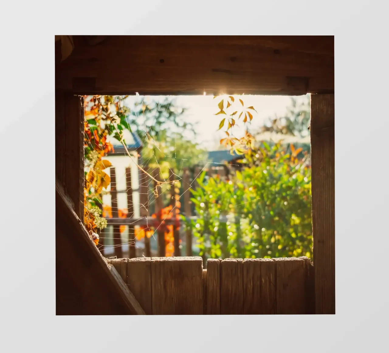 Vue sur l'automne doré à travers une toile d'araignée bâche pvc de Natur Wandbild — Orte für die Seele