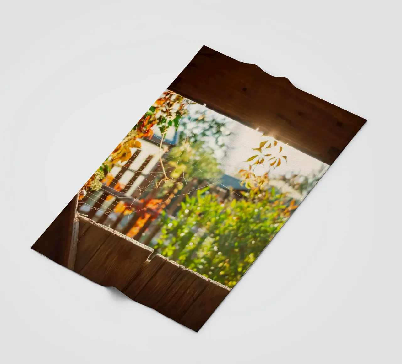 Vue sur l'automne doré à travers une toile d'araignée plaid polaire de Natur Wandbild — Orte für die Seele