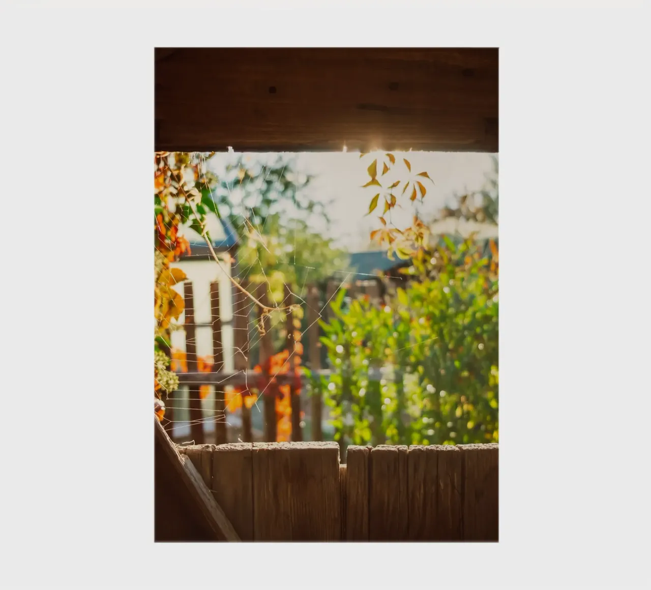 View through the spider's web into the golden autumn notebook by Natur Wandbild — Orte für die Seele
