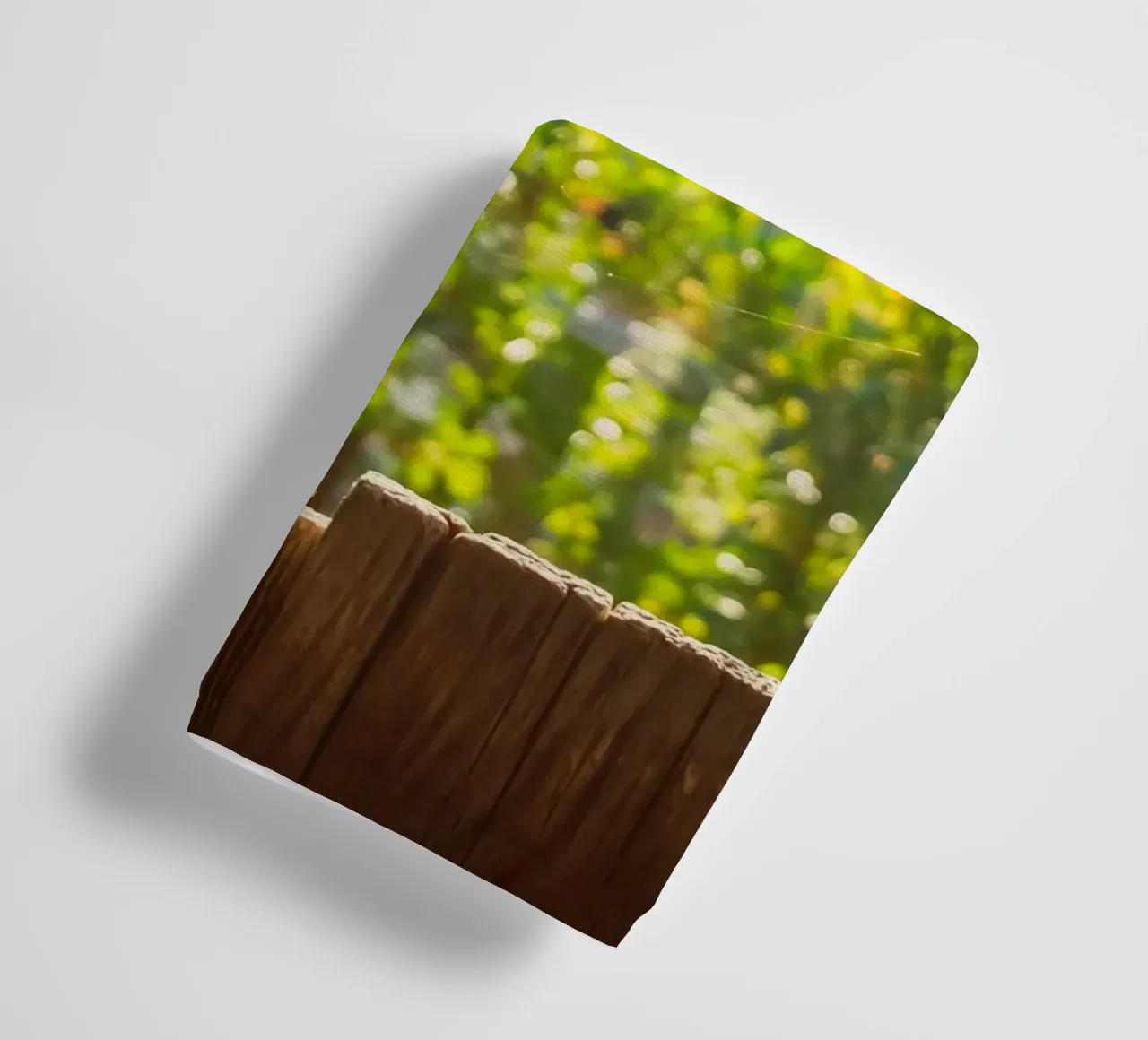 View through the spider's web into the golden autumn towel by Natur Wandbild — Orte für die Seele