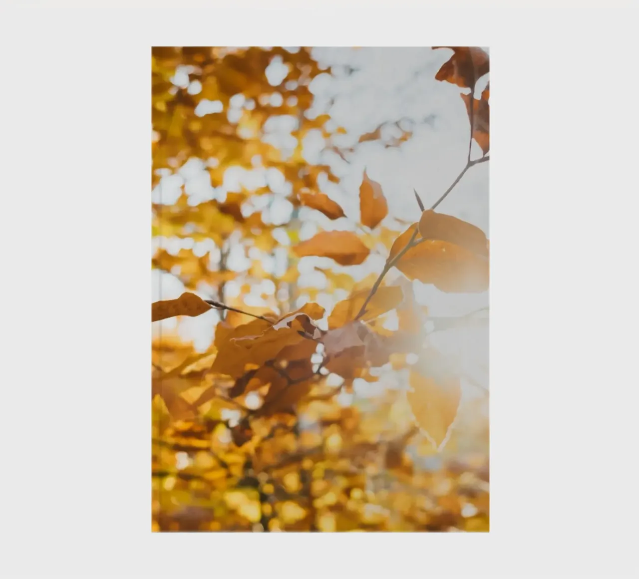 The branches of autumn stretch out towards you. notebook by Natur Wandbild — Orte für die Seele