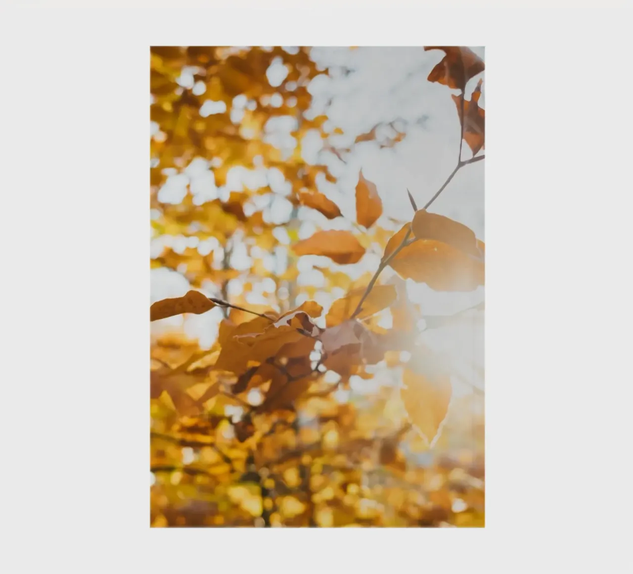 The branches of autumn stretch out towards you. notebook by Natur Wandbild — Orte für die Seele