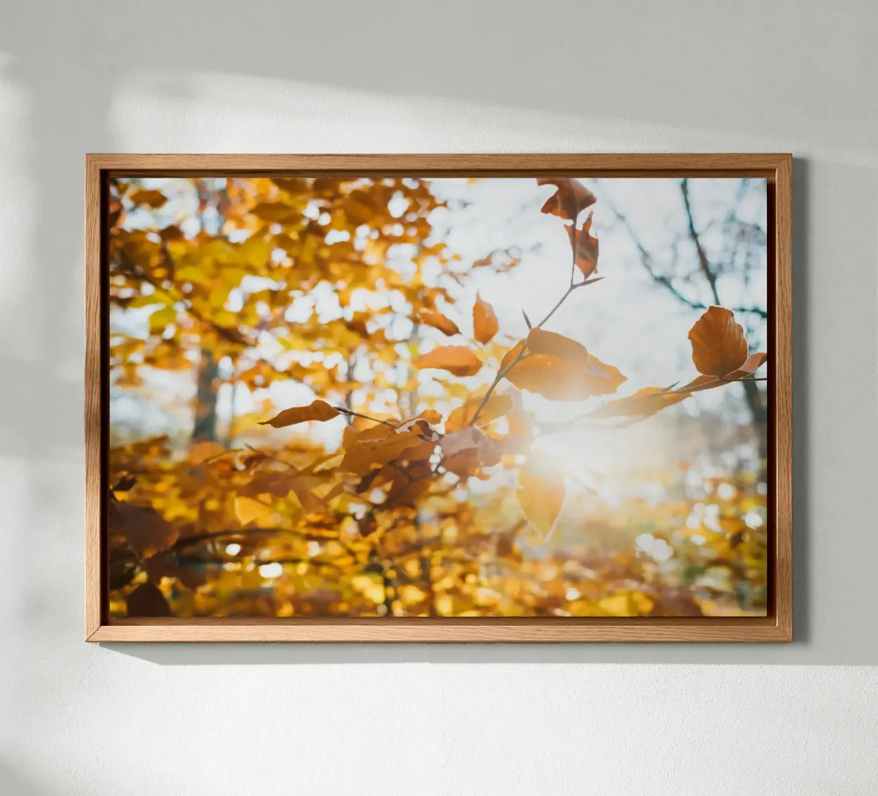 The branches of autumn stretch out towards you. canvas with Floater frame by Natur Wandbild — Orte für die Seele