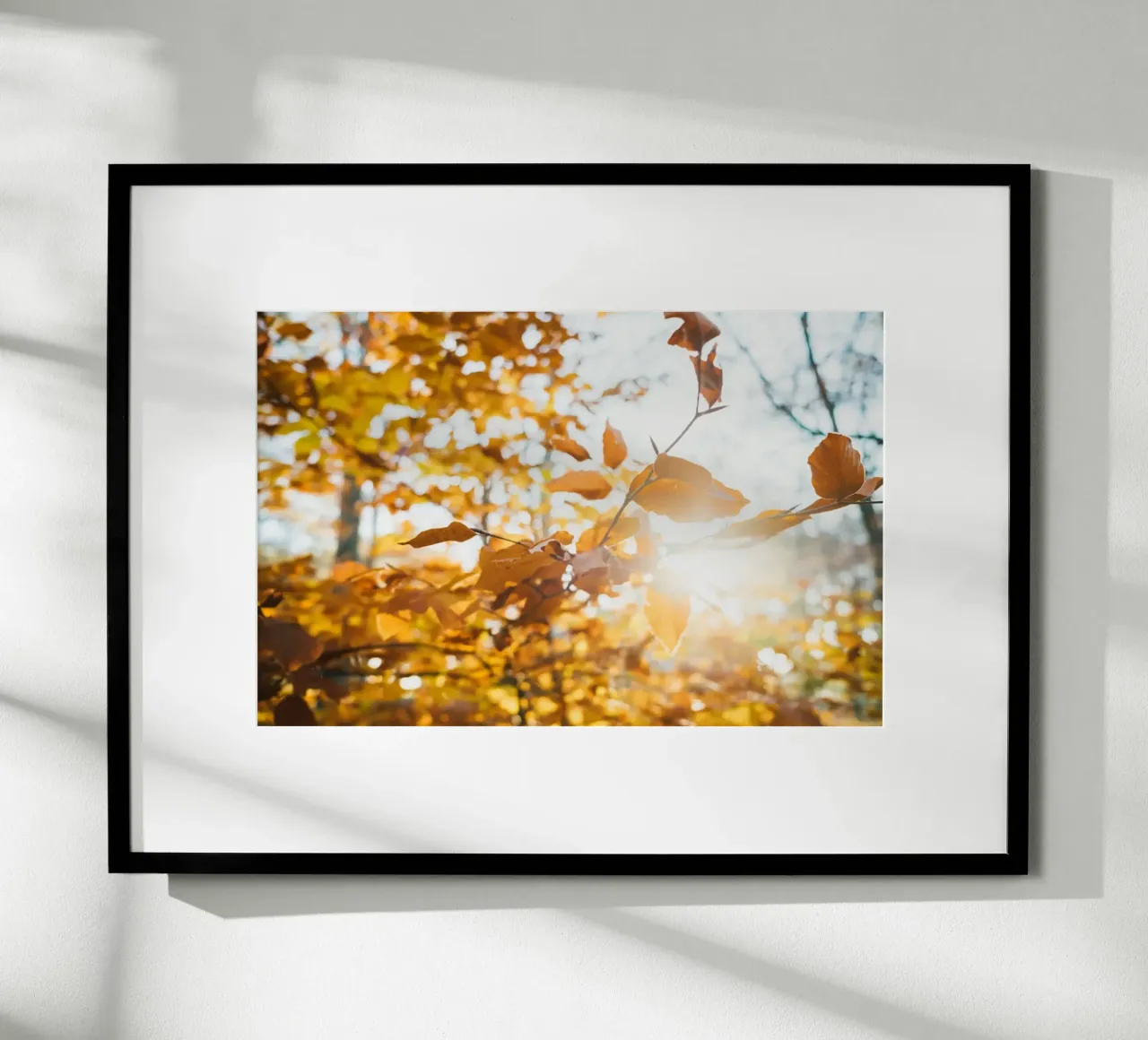 I rami dell'autunno si allungano verso di voi. poster con telaio in plastica da Natur Wandbild — Orte für die Seele