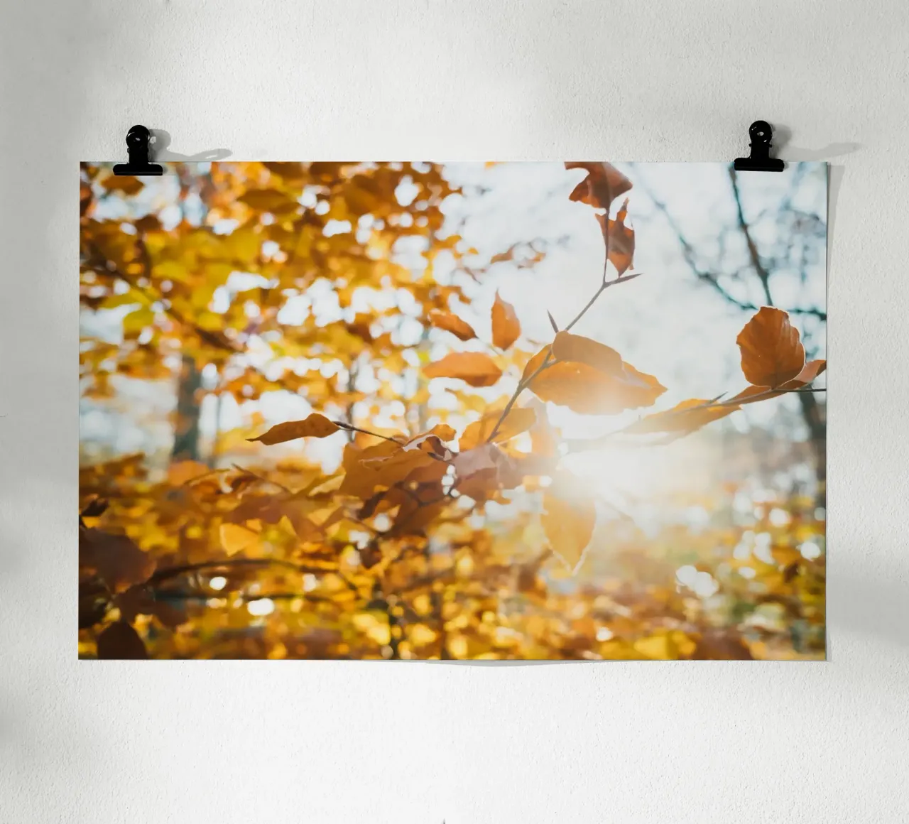 I rami dell'autunno si allungano verso di voi. poster con telaio in plastica da Natur Wandbild — Orte für die Seele