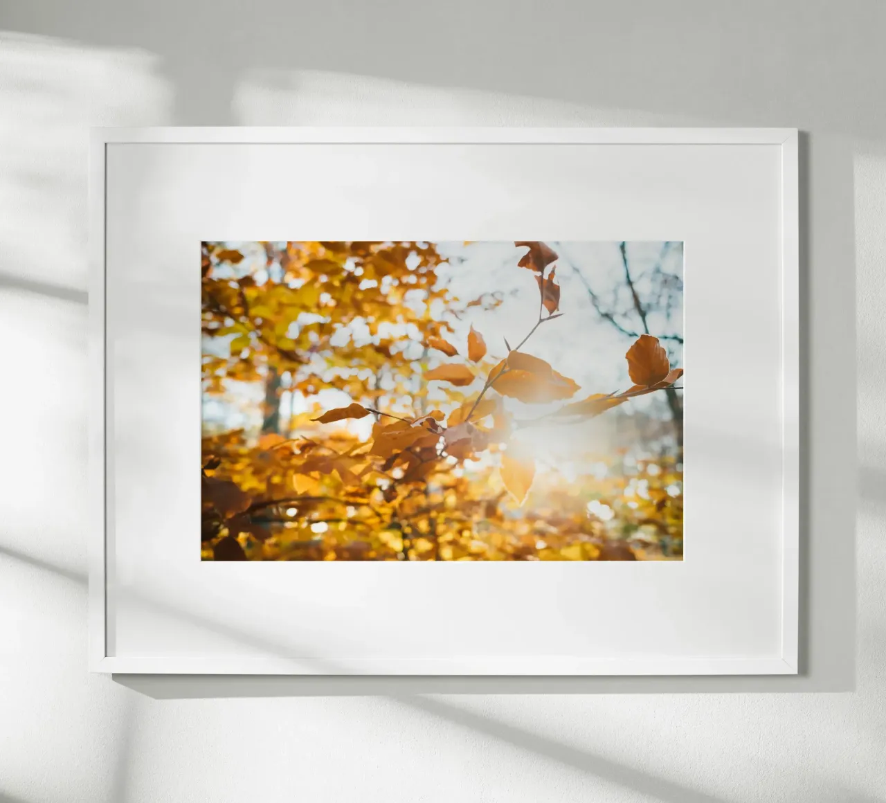 I rami dell'autunno si allungano verso di voi. poster con telaio in plastica da Natur Wandbild — Orte für die Seele