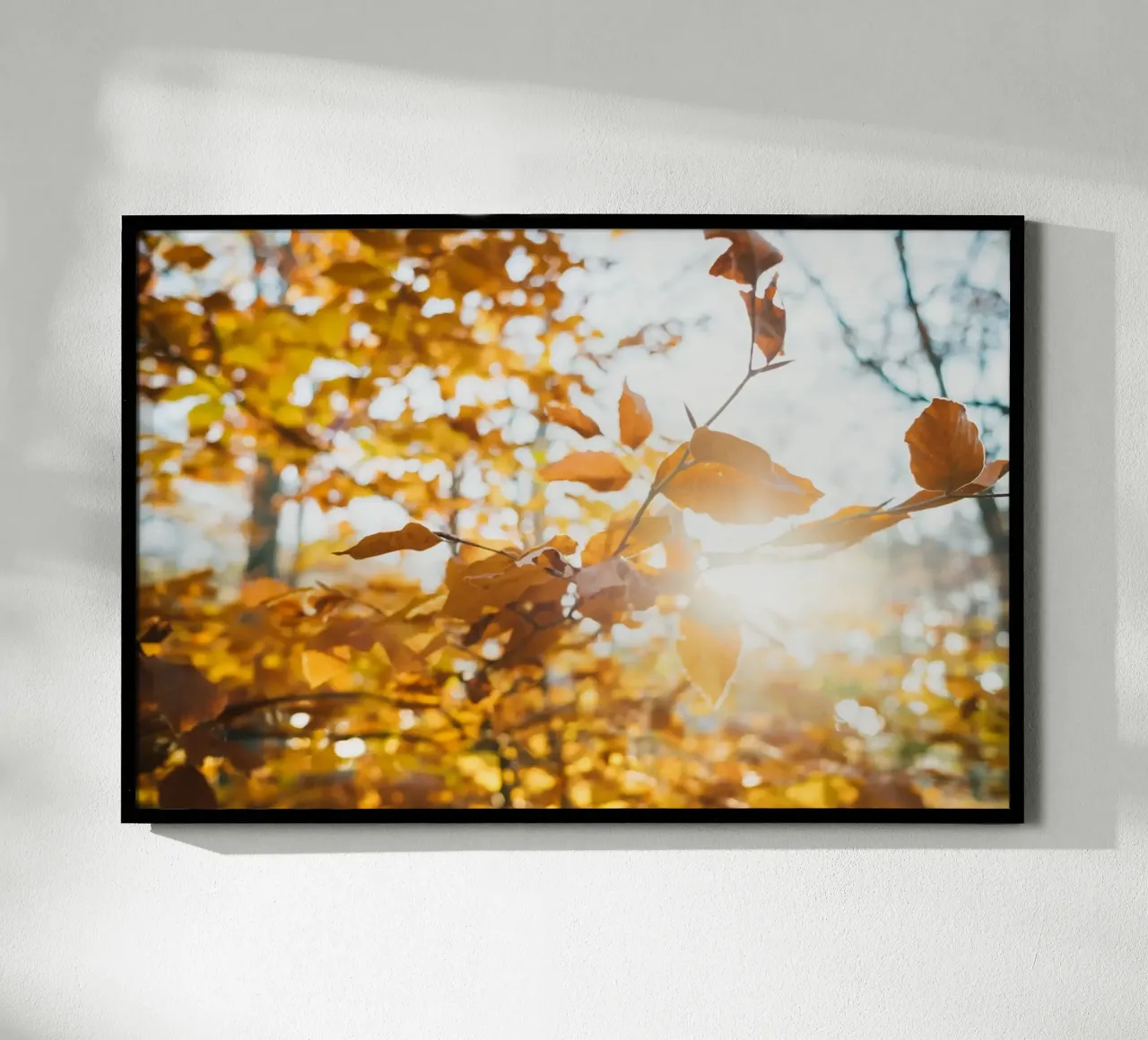 I rami dell'autunno si allungano verso di voi. poster con telaio in plastica da Natur Wandbild — Orte für die Seele