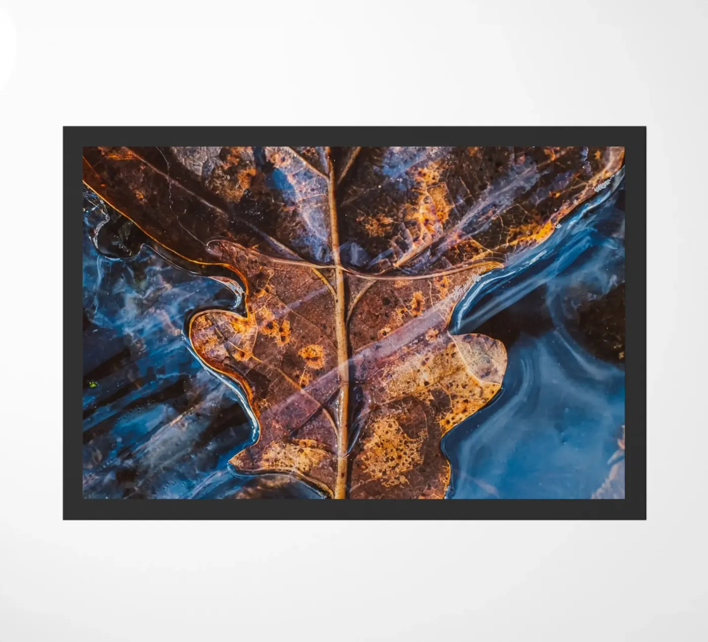 Frozen oak leaf doormat by Natur Wandbild — Orte für die Seele