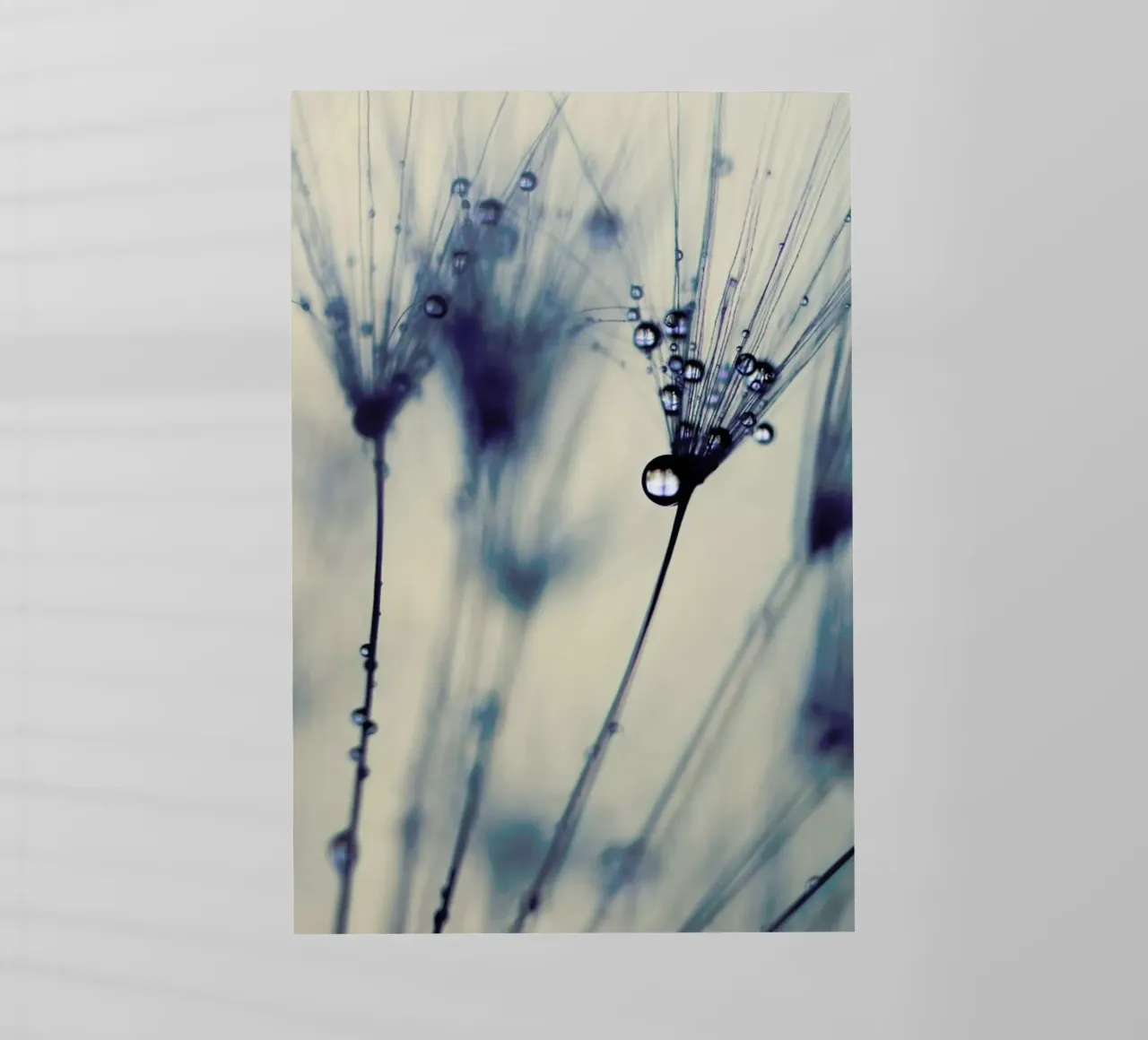 droplets of moody blues pellicola backlit da Ingrid Beddoes