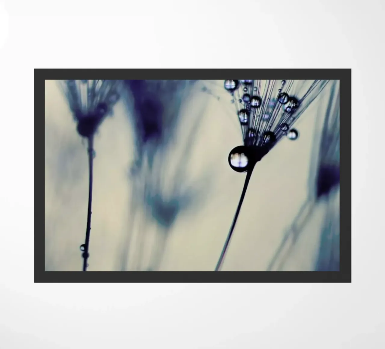 droplets of moody blues zerbino da Ingrid Beddoes