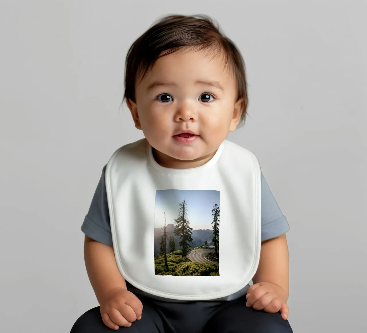 pine trees mountain bavaglino da Earthly Visions