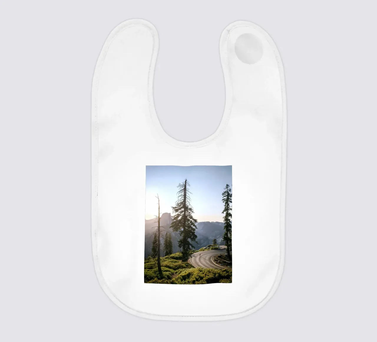 pine trees mountain bavaglino da Earthly Visions