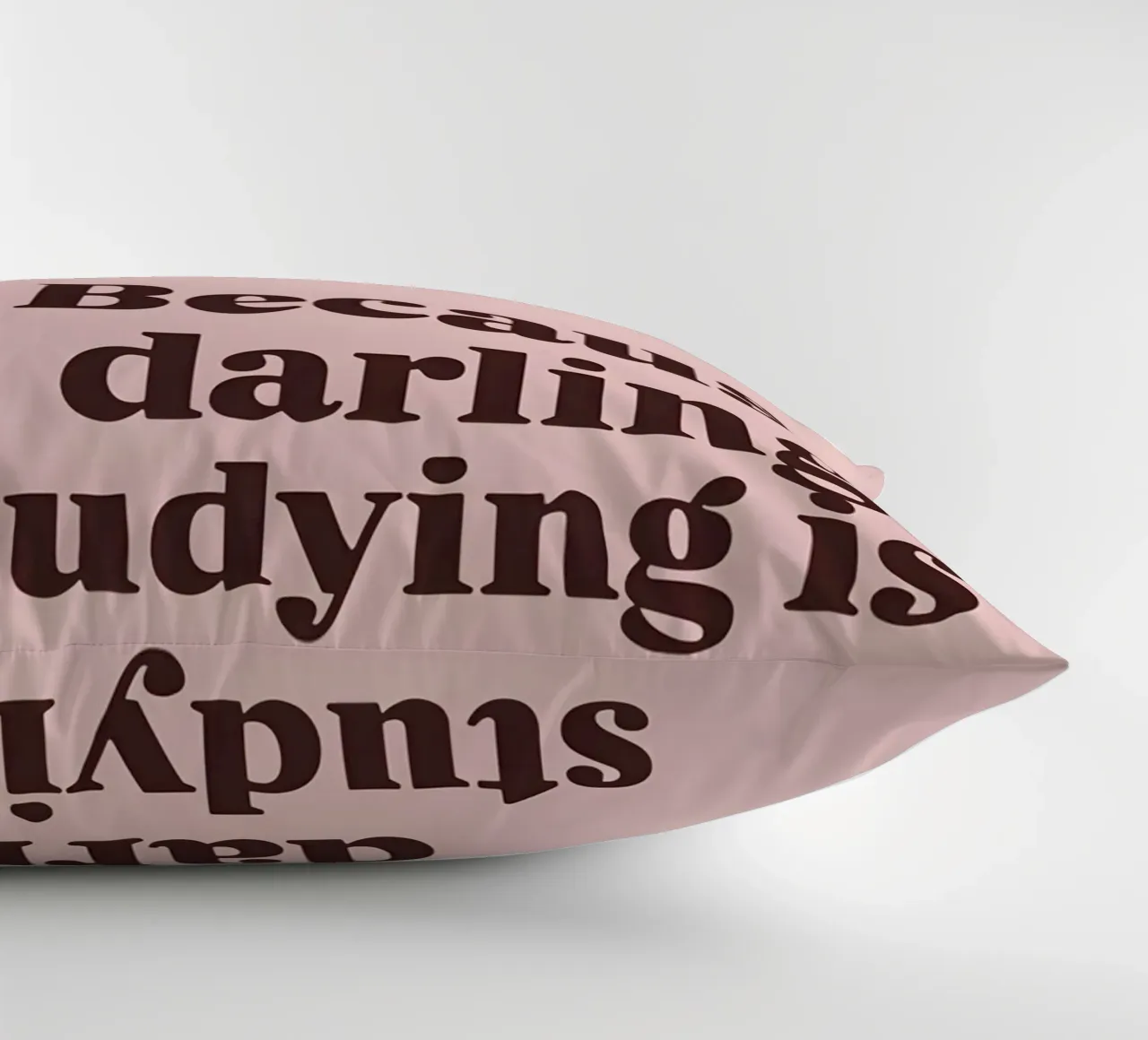 "Because darling, studying is a privilege." cuscino da Type & Tape