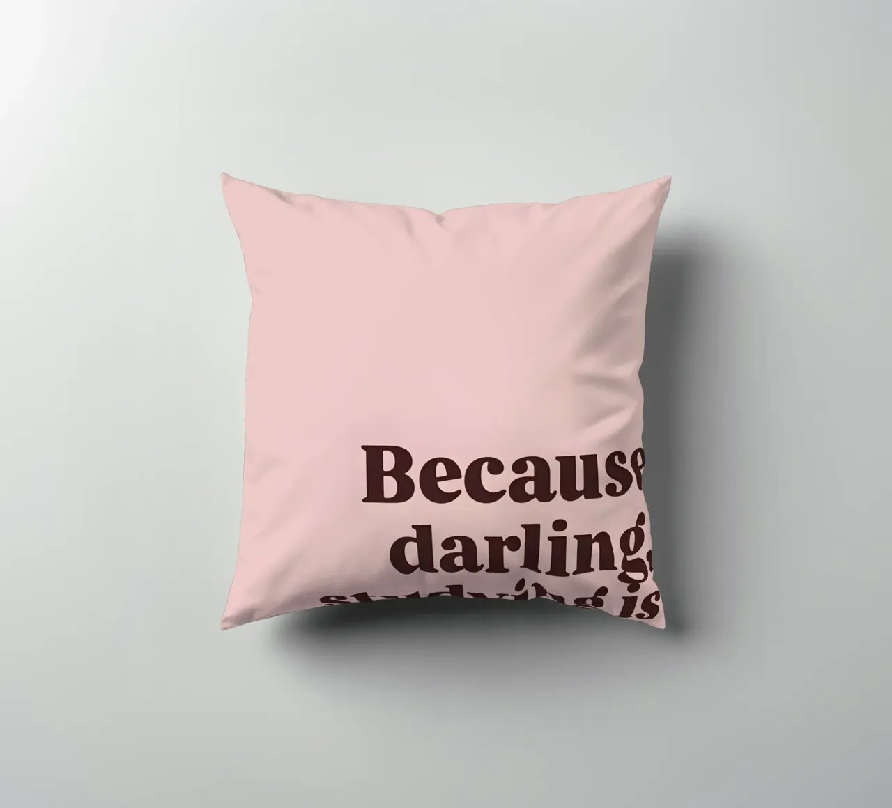 "Because darling, studying is a privilege." cuscino da Type & Tape
