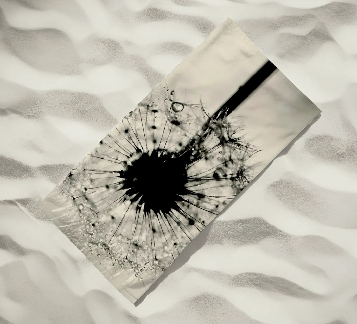 hope telo mare da Ingrid Beddoes