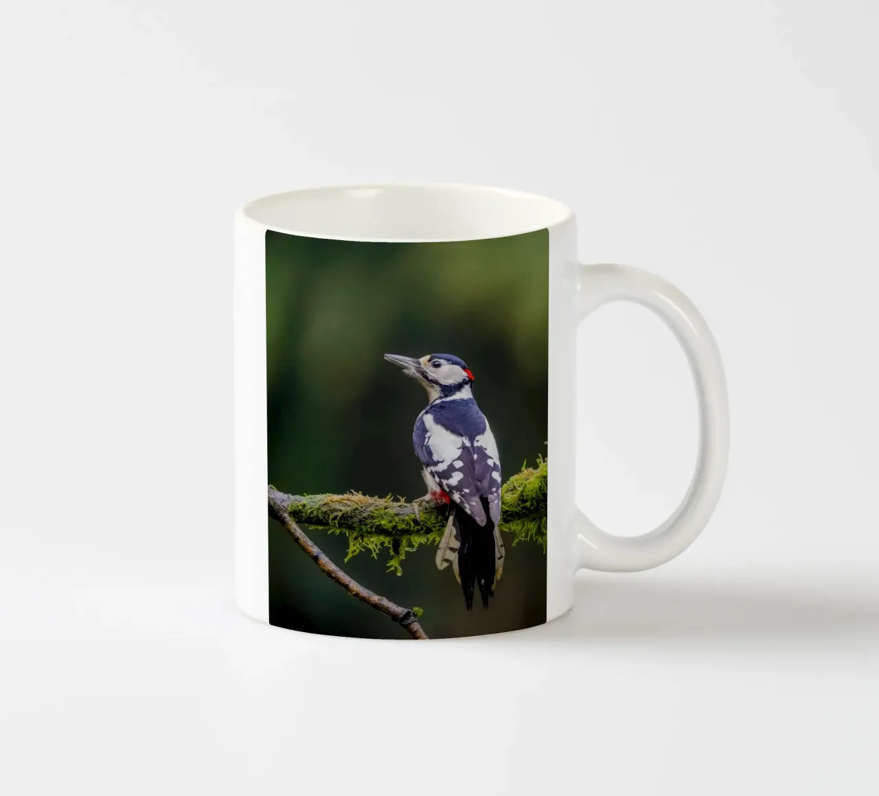 Picchio nella foresta tazza in ceramica da Tom's Wildlife