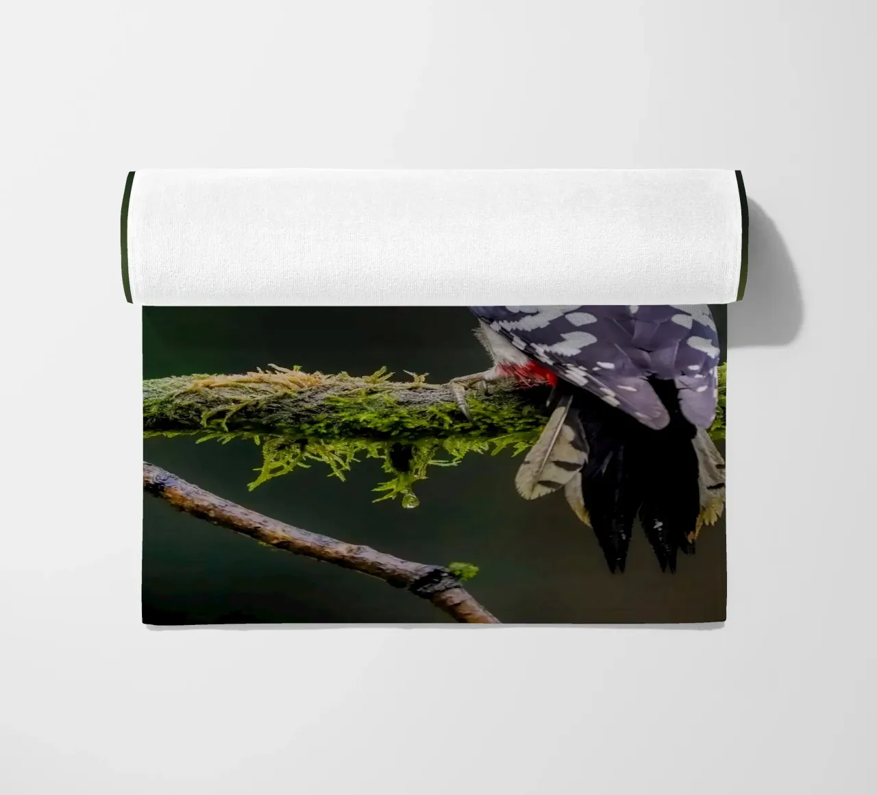Picchio nella foresta telo mare da Tom's Wildlife