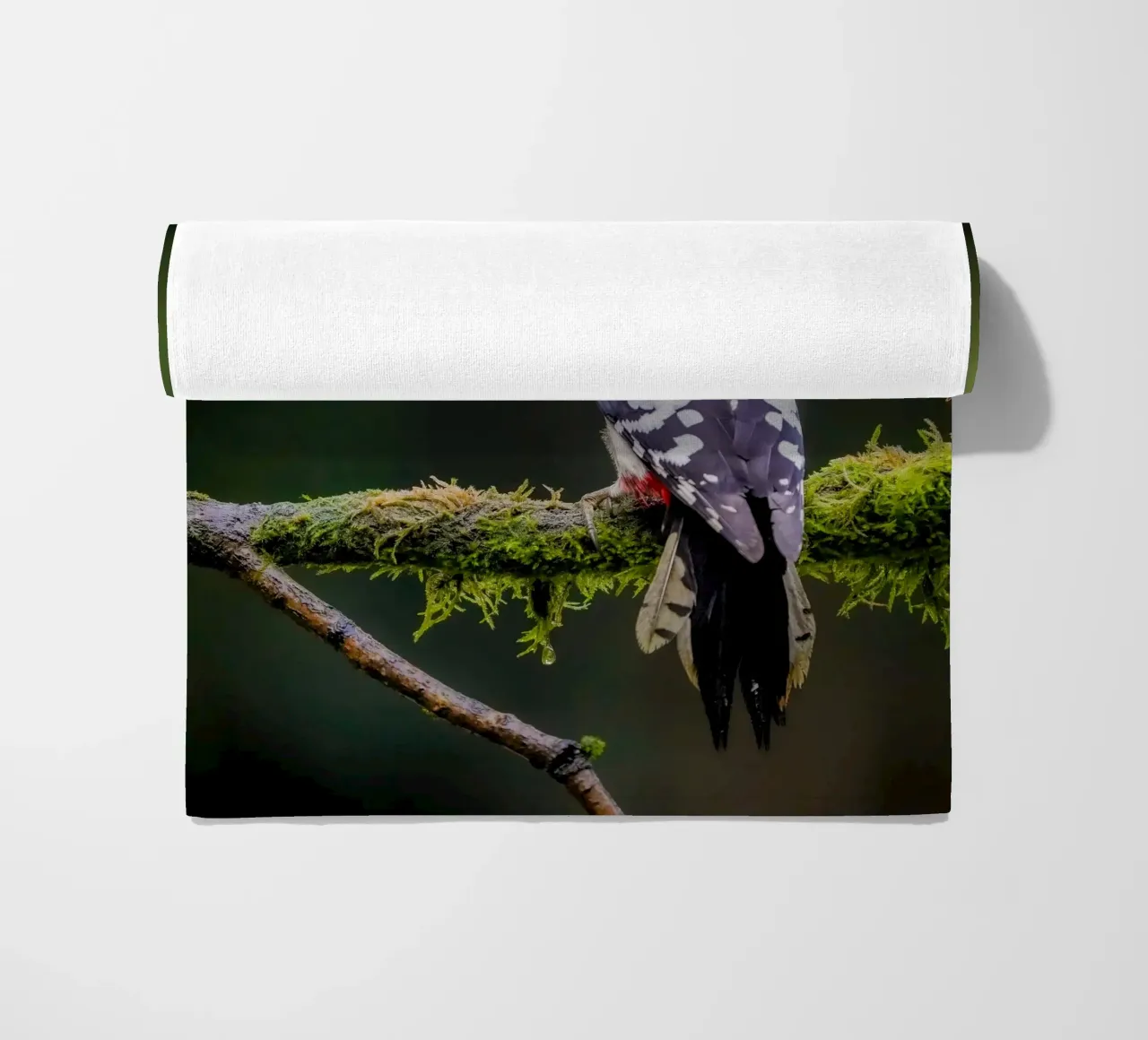 Picchio nella foresta telo mare da Tom's Wildlife
