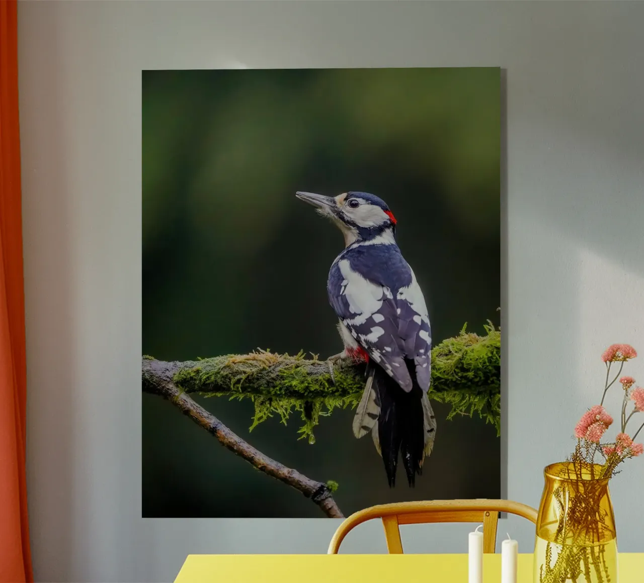 Picchio nella foresta plexiglass da Tom's Wildlife