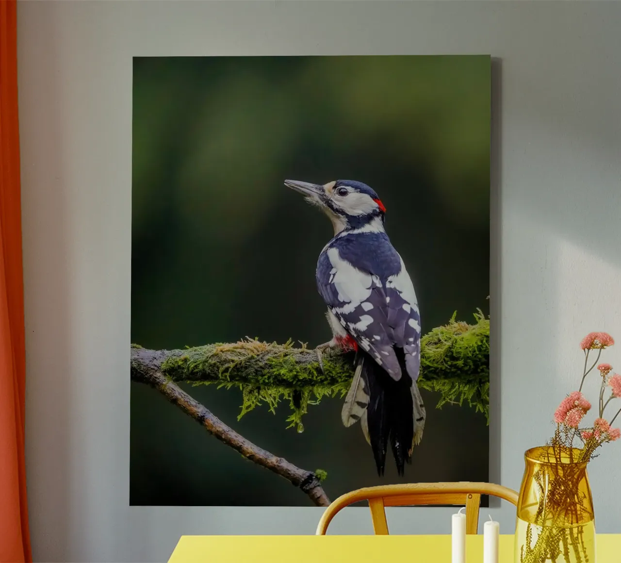 Picchio nella foresta tela con Cornice a cassetta da Tom's Wildlife