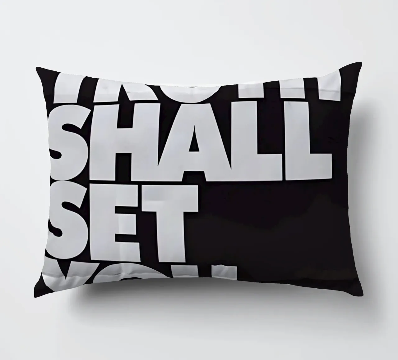 THE TRUTH SHALL SET YOU FREE. cuscino da Type & Tape
