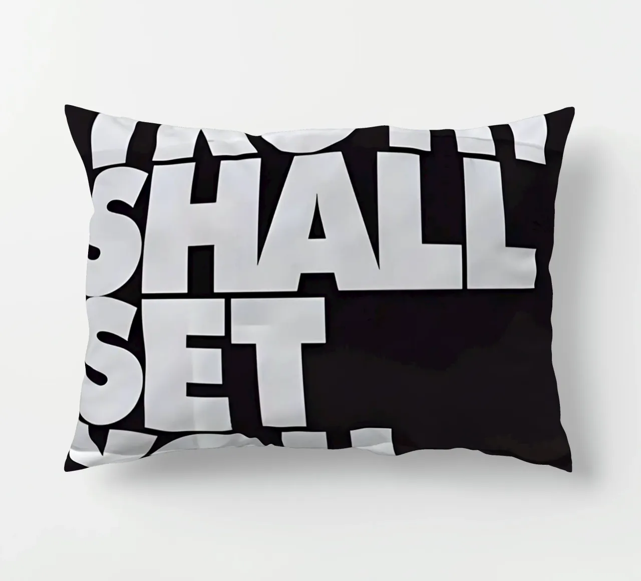 THE TRUTH SHALL SET YOU FREE. cuscino da Type & Tape