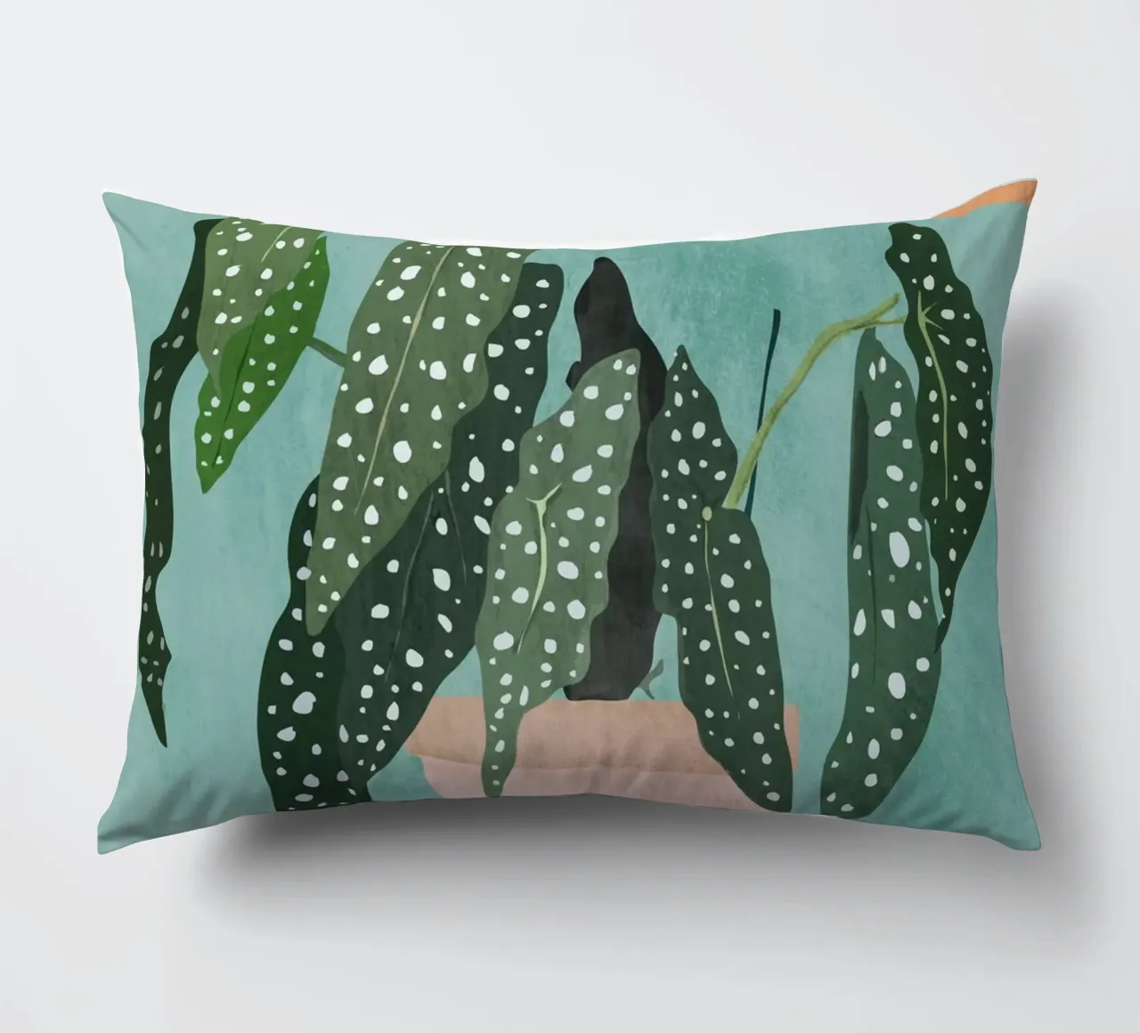 Impianto 5 cuscino da ThingDesign