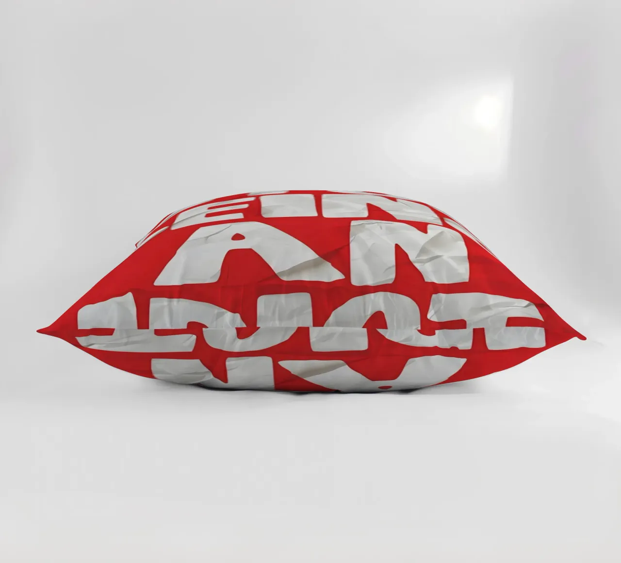 STOP BEING AN IDIOT cuscino da Type & Tape