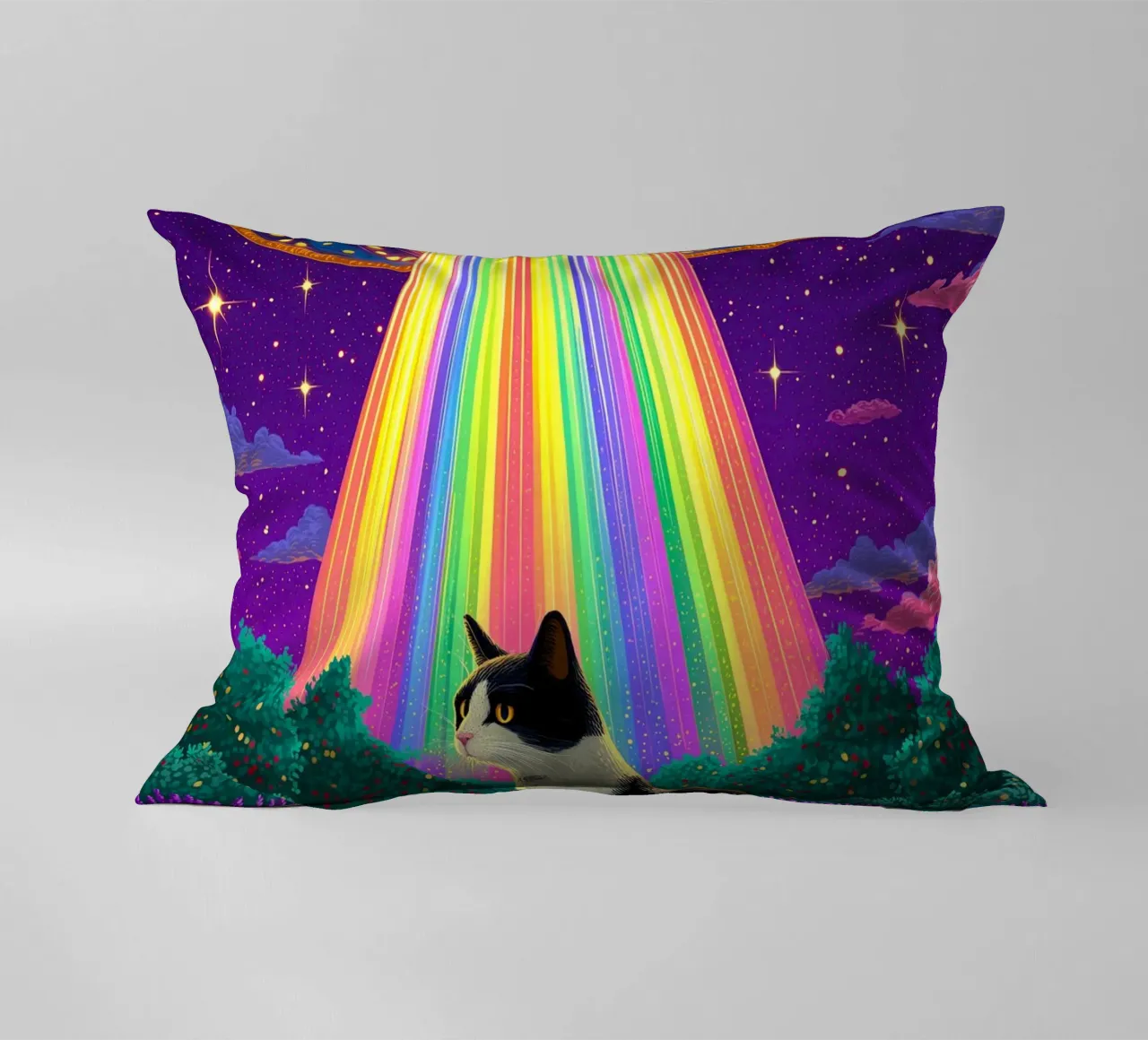 Gatto e UFO cuscino da Fleur de Lys