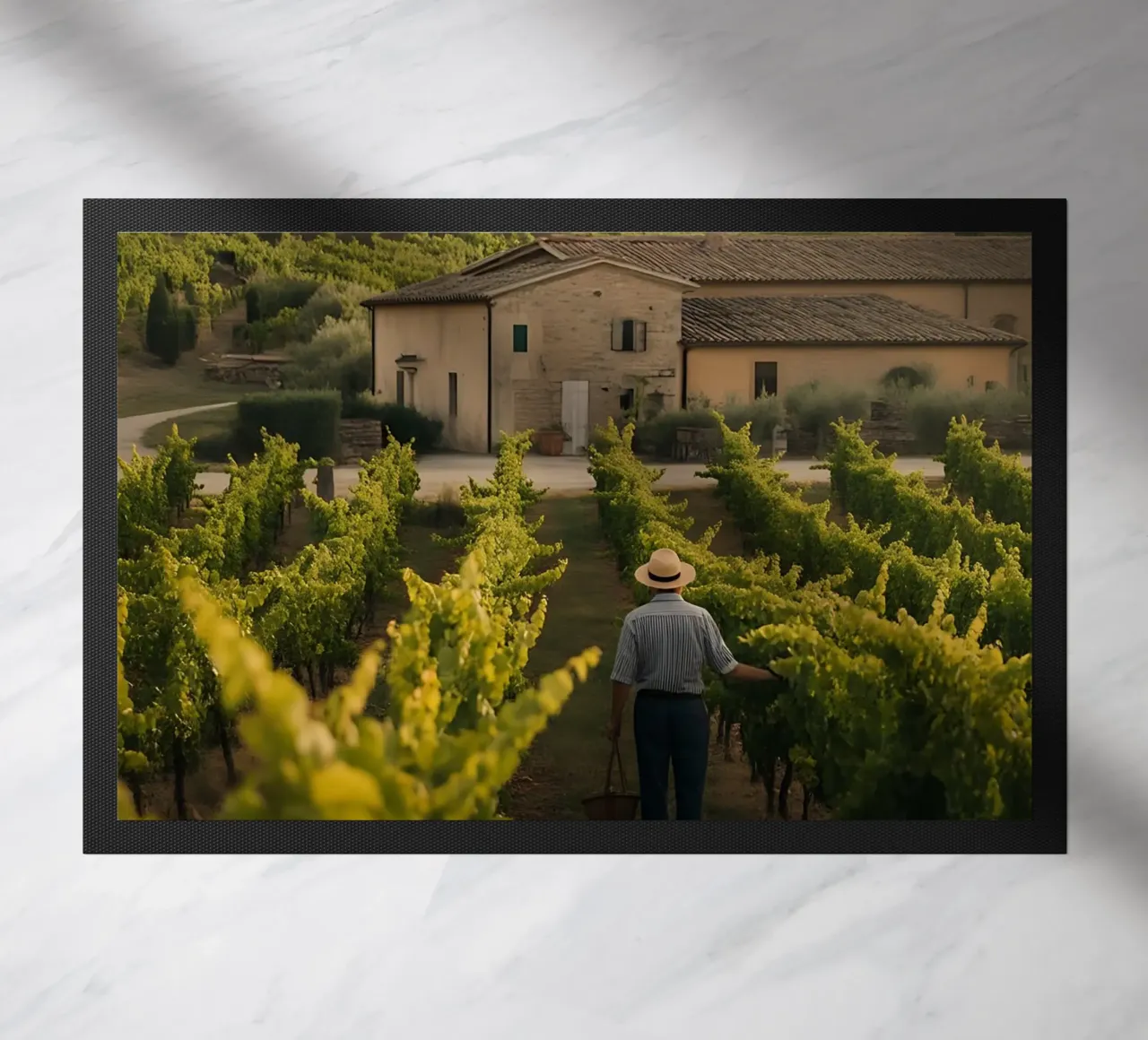 Viti dorate in Toscana zerbino da Casa Limon