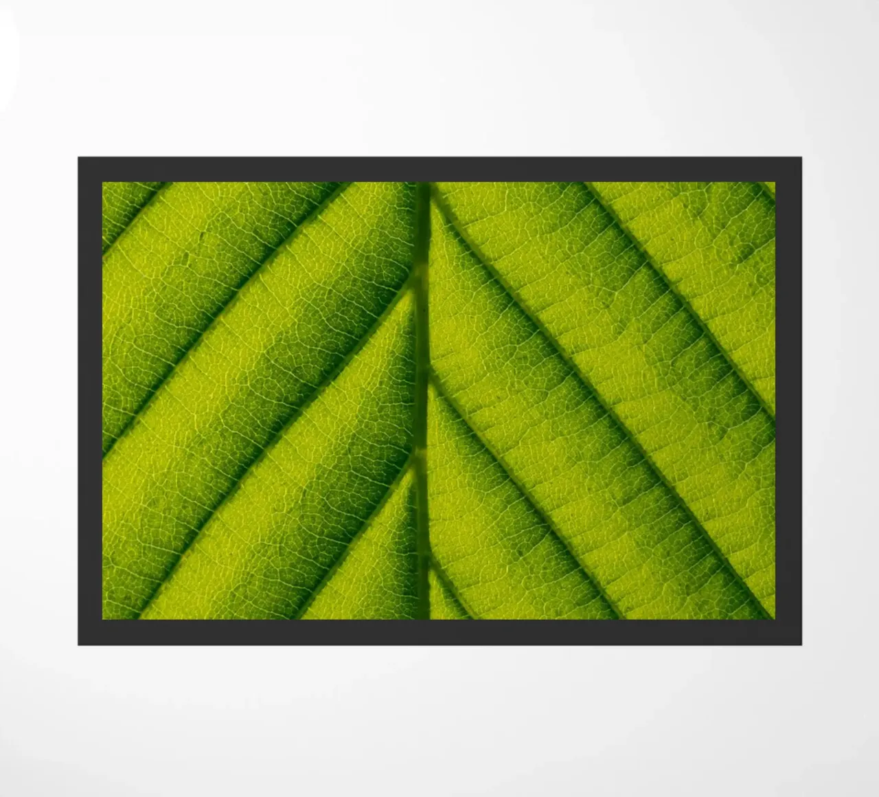 Green leaf doormat by anderm
