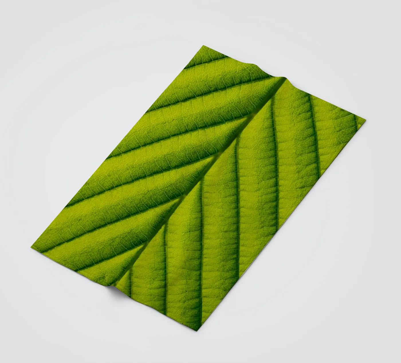 Grünes Blatt Fleecedecke von anderm